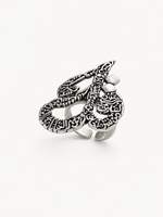 Protection Silver Ring