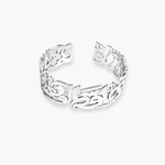 سوار هالة المؤمنين