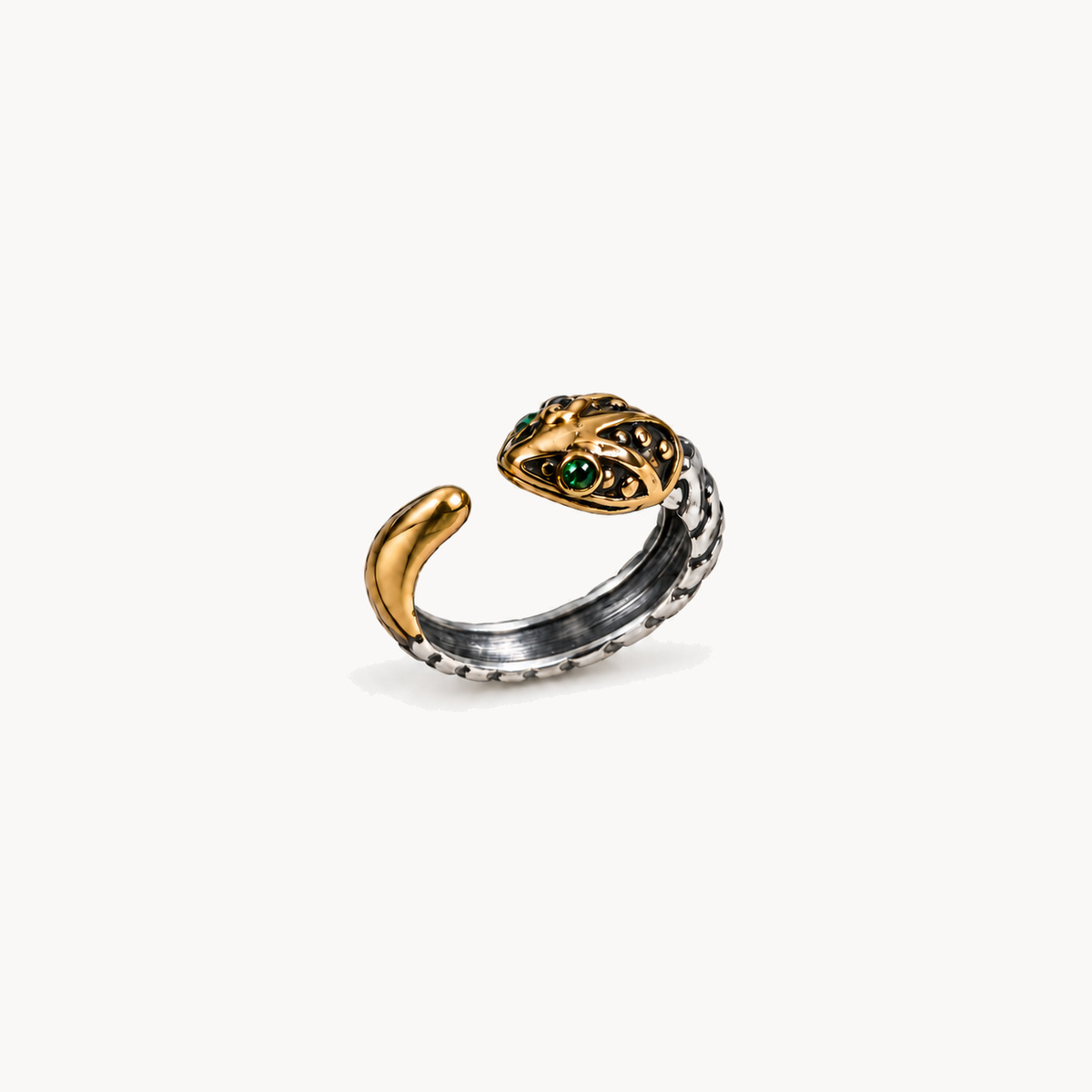 Eternal Coil Ring